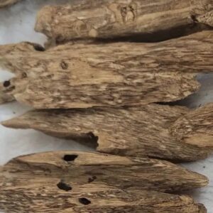 什么是虫漏沉香?-文玩鉴赏网
