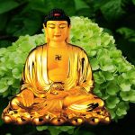 0985b1f6cb7450c.jpg插图(16)