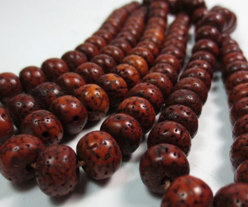 12c7f89ed042f3f.jpg插图(2) 星月菩提到底是先包浆还是先开片