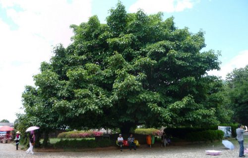 1b6779d5173aedb.jpg插图(2)