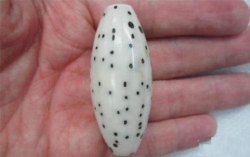 文玩手串怎么盘玩才能包浆快，不伤害手串？