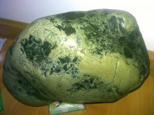 2932996848d662a.jpg插图(2)