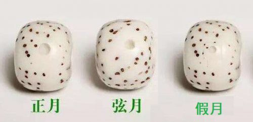 星月菩提手串盘玩干货知识-文玩鉴赏网