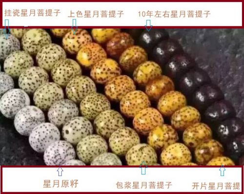4ad28f5ab52a87e.jpg插图