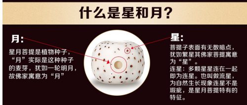 什么样的星月菩提才是真正月朗星稀?-文玩鉴赏网