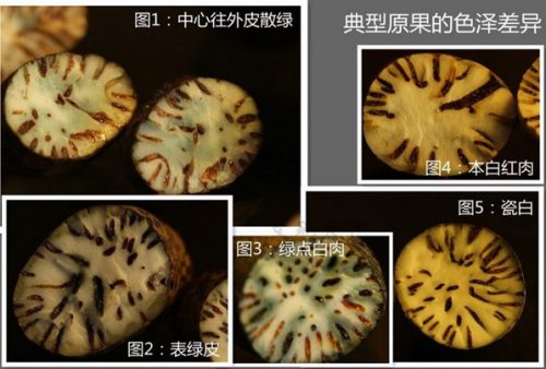 阴皮星月菩提怎么盘玩?-文玩鉴赏网