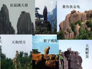 64a0dbffd1ad65c.jpg插图(1)