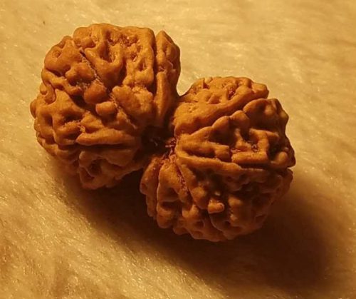 655ab81af755896.jpg插图