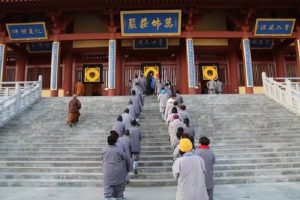 690c0373c857a06.jpg插图(1)