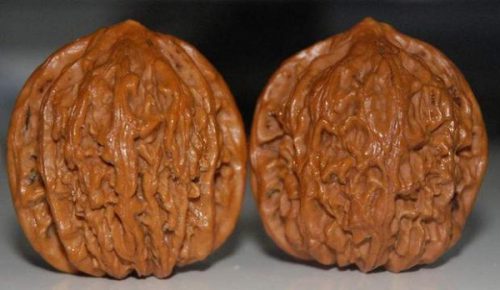 怎样把核桃玩的包浆通透-文玩鉴赏网