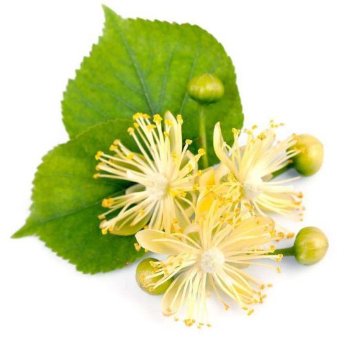 一花一世界 一叶一菩提是什么意思-文玩鉴赏网