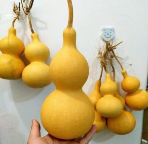 7d3e9900a620b5b.jpg插图(10)