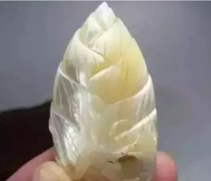 7d9cca24a07d7cf.jpg插图(7)