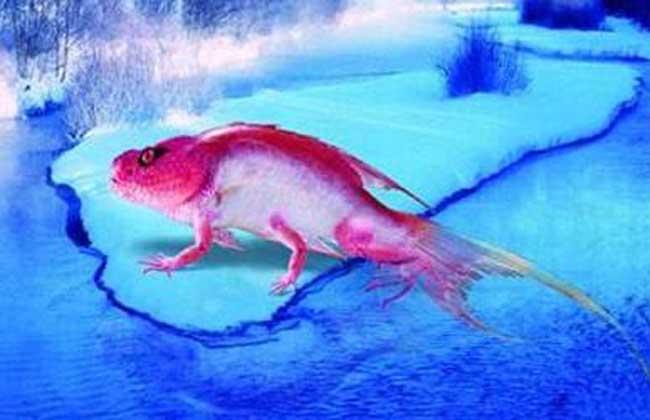 不精进,业障很重该怎么办?-文玩鉴赏网