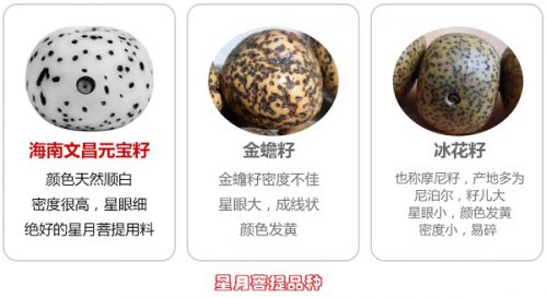 916e0b0bd76d980.jpg插图(1)