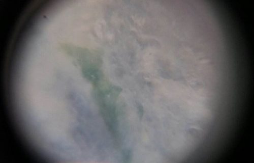 什么样的翡翠起荧光？解析翡翠起胶和翡翠起荧现象
