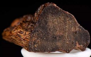 9e3af3821b82409.jpg插图(1) 中国沉香交易市场分布