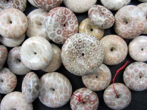 珊瑚玉化石花型种类与收藏价值-文玩鉴赏网