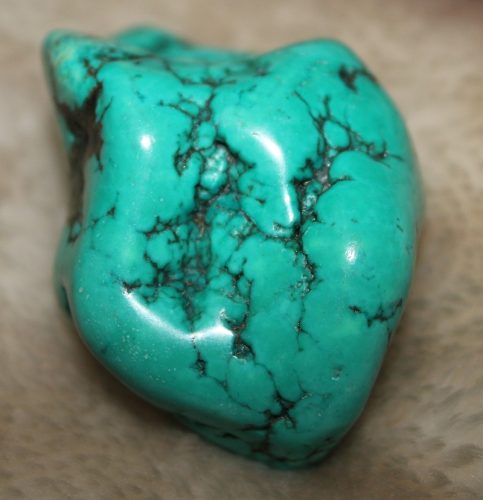 a1125c88a855ea6.jpg插图(5)