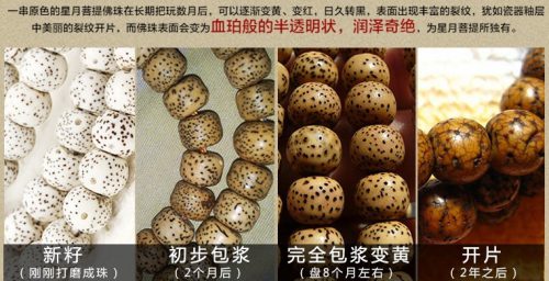使用搓澡巾盘星月菩提的方法-文玩鉴赏网