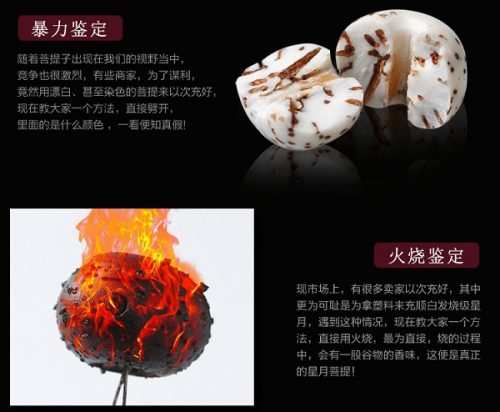ab1f5a76a316483.jpg插图(1)