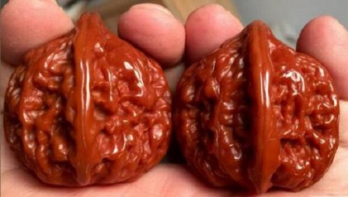 aca9092194dc5ee.jpg插图(1) 充满乐趣与哲理的文玩核桃盘玩过程