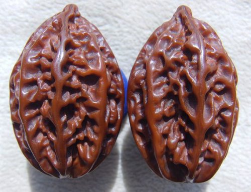 b155b436590e6ed.jpg插图(3) b155b436590e6ed.jpg插图(3)