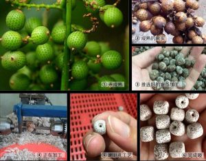 c03a34ac6bf538b.jpg插图(1)