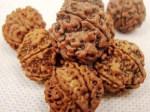 金刚菩提子百科知识大全-文玩鉴赏网