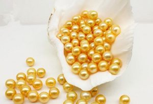 ca2b68218cb9ab1.jpg插图(2)