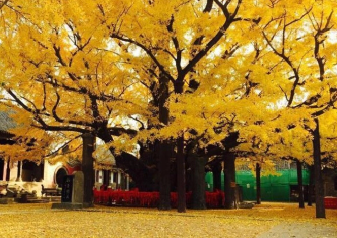e45ee7ce7e88149.png插图 e45ee7ce7e88149.png插图