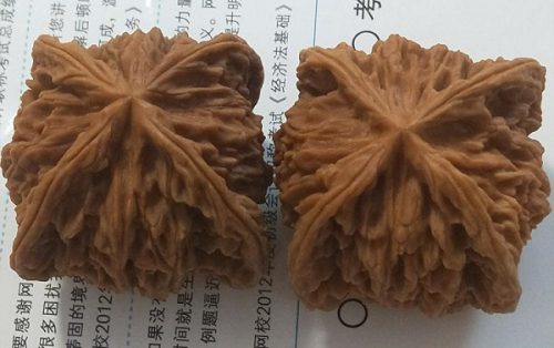 e62a199b10c1c01.jpg插图