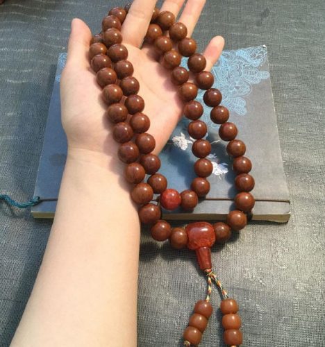 e706b97966728cc.jpg插图(18)