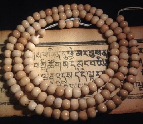 f1a465c218f7e14.jpg插图(17)