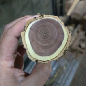 f6dd4887c3a9b0b.jpg插图(3)