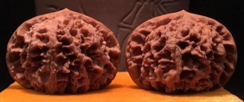 盘玩文玩核桃具有哪些好处呢?-文玩鉴赏网
