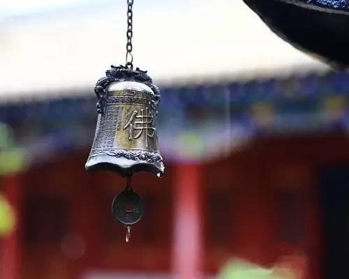 8908d887f37e808.jpg插图(7) 8908d887f37e808.jpg插图(7)