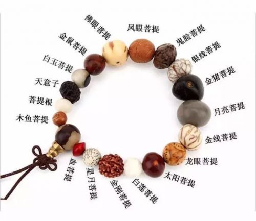 菩提籽类别介绍-文玩鉴赏网