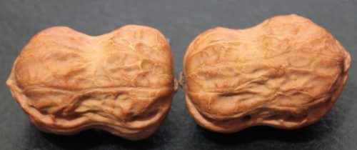 0acc9c27e815c5b2d53fbf1ca38629f7.jpeg插图(2) 2022文玩核桃价格回归理性