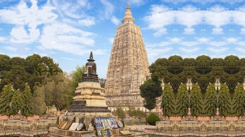 印度菩提城：菩提道场（菩提伽耶）里的菩提物-文玩鉴赏网