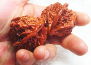 中国十大文玩市场探秘：带你探秘国内最火爆的文玩交易地！